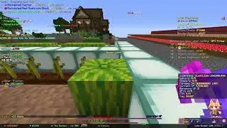 skill issuing - Hypixel Skyblock Ironman !pv !freepv !unpaidpv