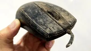 Old Computer Mouse Not Working? Watch This Before You Buy a New One! 😲