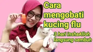 Cara mengobati kucing flu//tiga hari inshaAlloh langsung sembuh