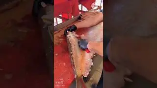 Amazing Fish Scinning Skills l 🐟 l #shorts #viralshorts #fishcutting #fishscinning
