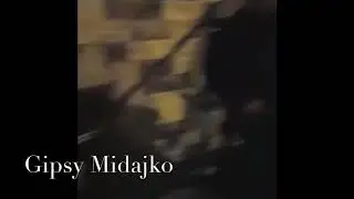 Pažravec - GIpsy Midajko