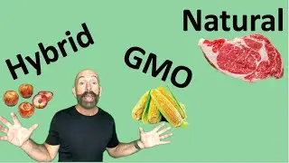 Hybridization vs. Genetic Modification: Key Differences Explained #gmo #hybrid