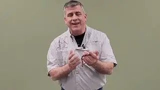 Sinaloan Milk Snake Species Spotlight
