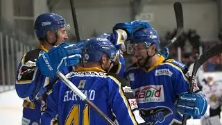 Hull Stingrays v Belfast Giants
