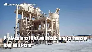 Professional Daswell Calcium Carbonate Ball Mill Plant