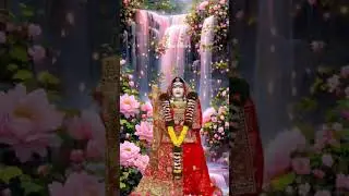 New majisa status video  || Rani bhatiyani status video   #majisa  #jasol_majisa_whatsapp_status