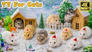 🔴 Ultimate CAT TV 😸 Active Mice on Screen－Anti-Separation Anxiety Videos for Cats While You&rsquo;re Away
