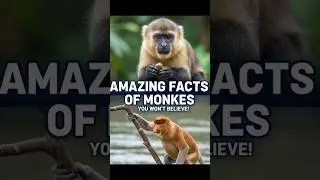 10 Amazing Facts About Monkeys | Mind-Blowing Monkey Facts in Hindi