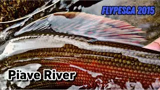 Fly Pesca 2015 Piave River