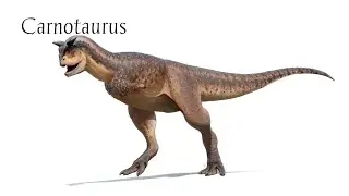 Carnotaurus Sounds &ndash; The Horned Predator of the Cretaceous!