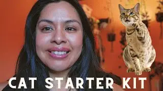 what to buy your cat / cat starter kit & all you need to get started