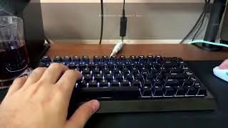 Razer BlackWidow V4 75% | Wuque Studio Morandi Switches | Sound/Typing Test
