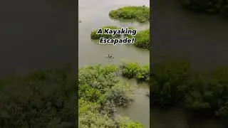Splashing through New Smyrna Beach, Divito Parks&rsquo; pristine waters, in our clear kayaks