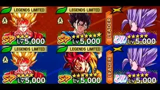 AN ALMOST MIRROR MATCH! (Dragon Ball Legends)