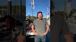 HAMILTON ISLAND RACE WEEK | LAZY DOG