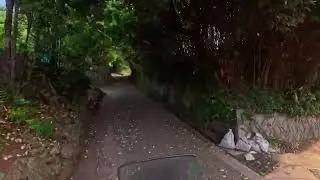山口県の離島・見島　赤崎旅館から北灯台までVersys-X250Tourerで走る