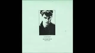 Pet Shop Boys - Opportunities (Timothy Bordeaux Remix)