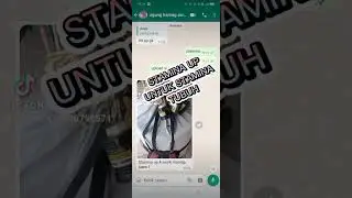 stamina buat burung lomba