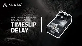 Adam Adventures Series | ALABS Audio TIMESLIP DELAY Licks Demo