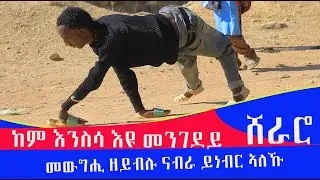 መውግሒ ዘይብሉ ናብራ ይነብር ኣለኹ እንድዒ ካብ ፈጣሪ እንታይ ይግብረለይ ኣይፈልጥን ደቂ ሰባት ነዓይ ትሓገዙኒ በይዛኻ ጭንቀተይ ንገበርቲ ፅቡቕ ንገረለይ