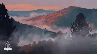 Medieval Adventure Travel Music & Ambience - Mythical Fantasy Music -  #tavern  #dnd #fantasy