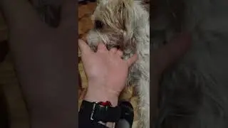 suchar na wiecz&oacute;r