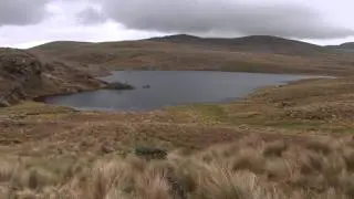Si a la vida KIMSACOCHA