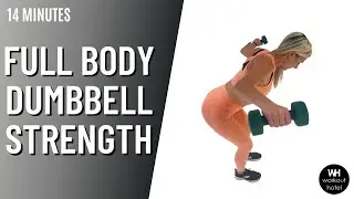 DUMBBELL STRENGTH WORKOUT (NO REPEATS)