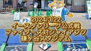 【2024/3/22】試合前の鎌ヶ谷スタジアムの様子 #日本ハム #fighters #巨人 #ジャイアンツ #giants