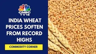 Wheat Prices In India Soften As Arrivals Begin; Govt Estimates Record Wheat Crop Of Around 115.4 Mt