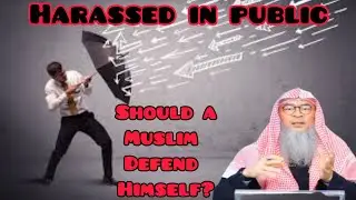 If a muslim is verbally or physically harassed in public, should he defend himself? Assim al hakeem