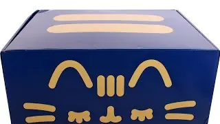 Pusheen Box Fall 2020 Celestial Pusheen Subscription Box Unboxing Review