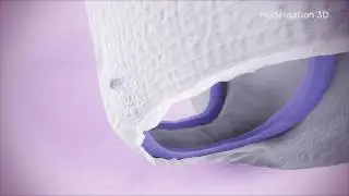D&eacute;couvrez les barri&egrave;res anti-fuites des culottes ALWAYS DISCREET