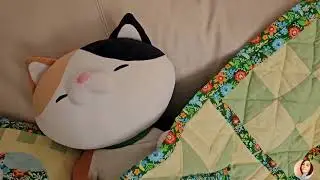 Patchwork for Beginners. How to Start?