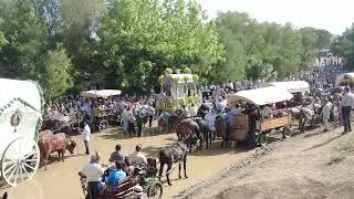 HDAD DEL ROCIO DOS HERMANAS-VADO DEL QUEMA  25 MAYO 2023 AZNALCAZAR(SEVILLA)