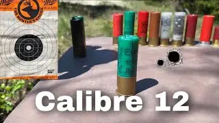 Prueba de escopeta 12