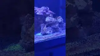 Basic progress on the lagoon tank