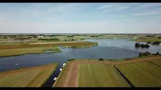 Koe te water eiland Easterwimerts Jutrijp