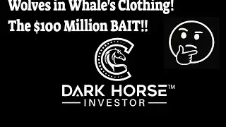 Wolves in Whale&rsquo;s Clothing: Exposing James Wynn & The Retail Trap Machine