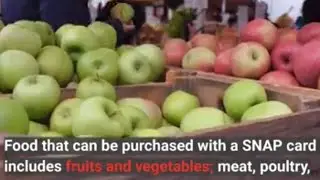 SNAP Benefit Rules Changing for Children Aged 7 and Above. Start growing your food NOW ‼️