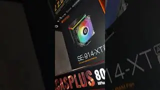 21 января 2023 г.shorts