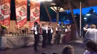 Pfaffenhofener Biergarten Fest 2013