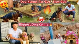 Finally Dog kennel par gaye 😘| ritik dog kennel | #ritikdogkennel #dogkennel #germanshepherd#rock #