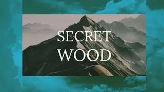 SECRET WOOD RING REVEAL