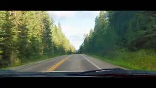 CINEMATIC FOREST ROAD