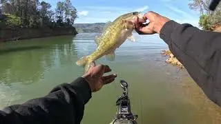 Lake Berryessa bass fishing (LATE WINTER ) 
