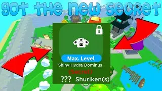 I GOT THE NEW SECRET PET IN NINJA CLICKER! (0.000005%) / DOMINUS HYDRA / 1st ON LEADERBOARD