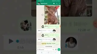 Cat prank on mamazala