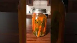 Pickled Carrots