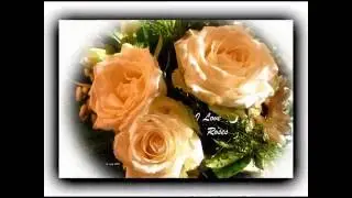 RosenGalerie - RoseGallery